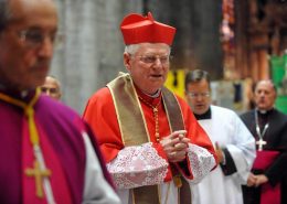 Response to Cardinal Scola's House of Lords Speech
